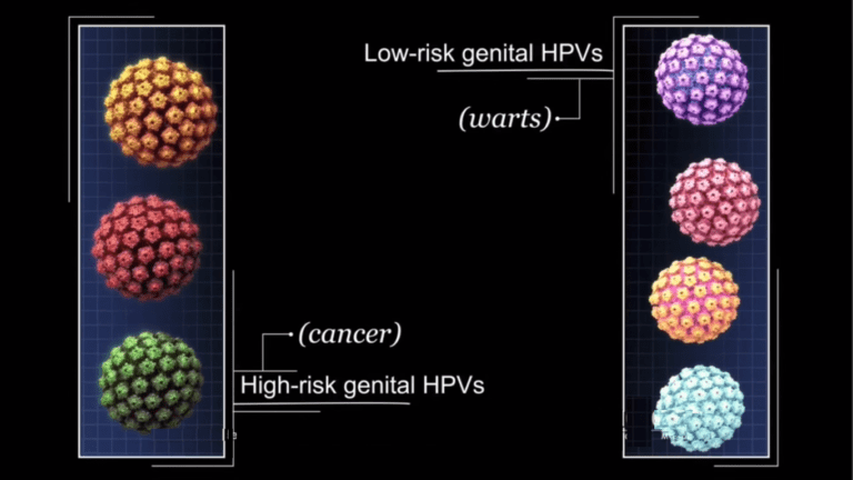 Std Causing Cancer Oral Sex Causing Cancer