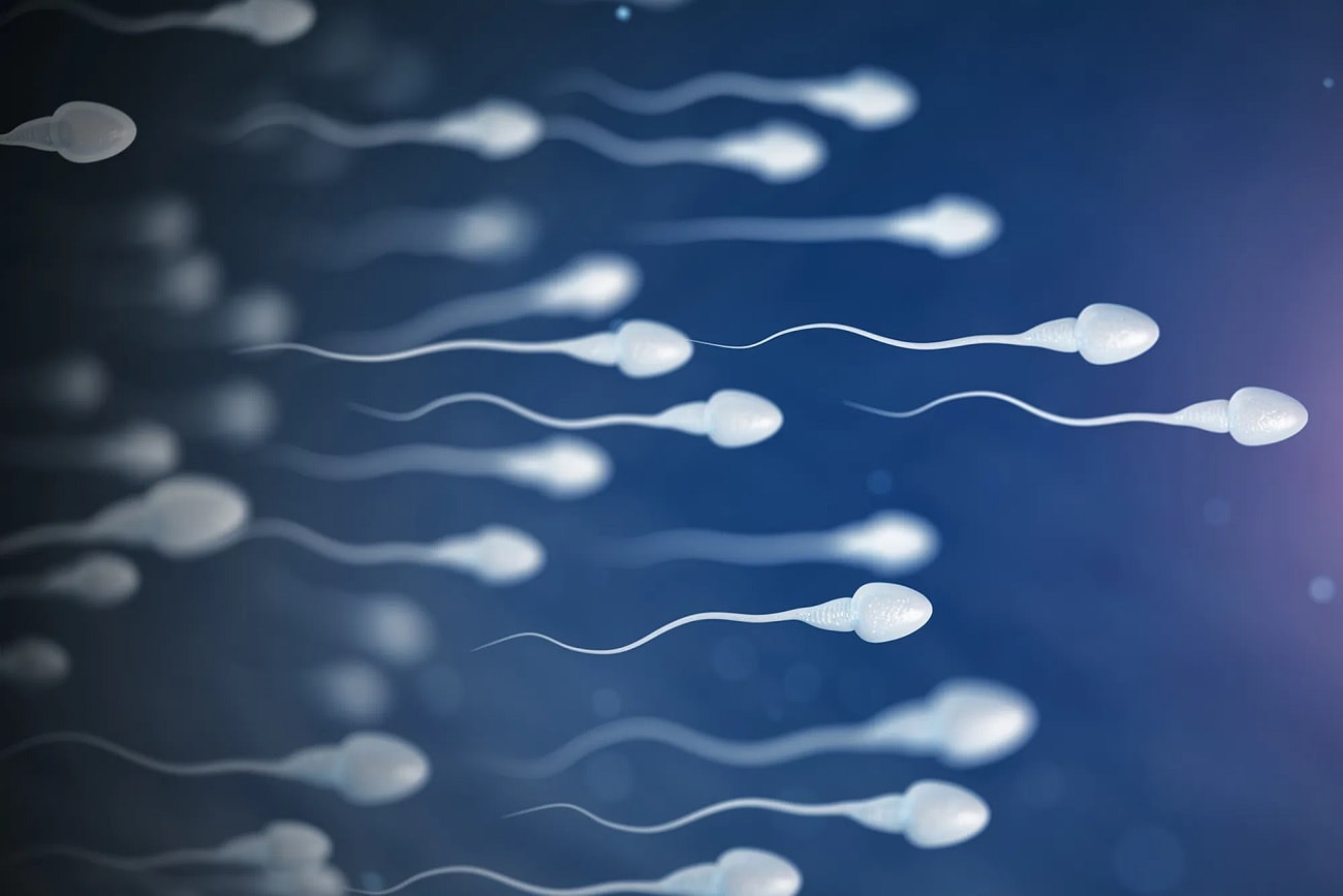 covid19-found-in-sperms-semen