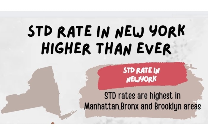 std-testing-new-york-report-stats